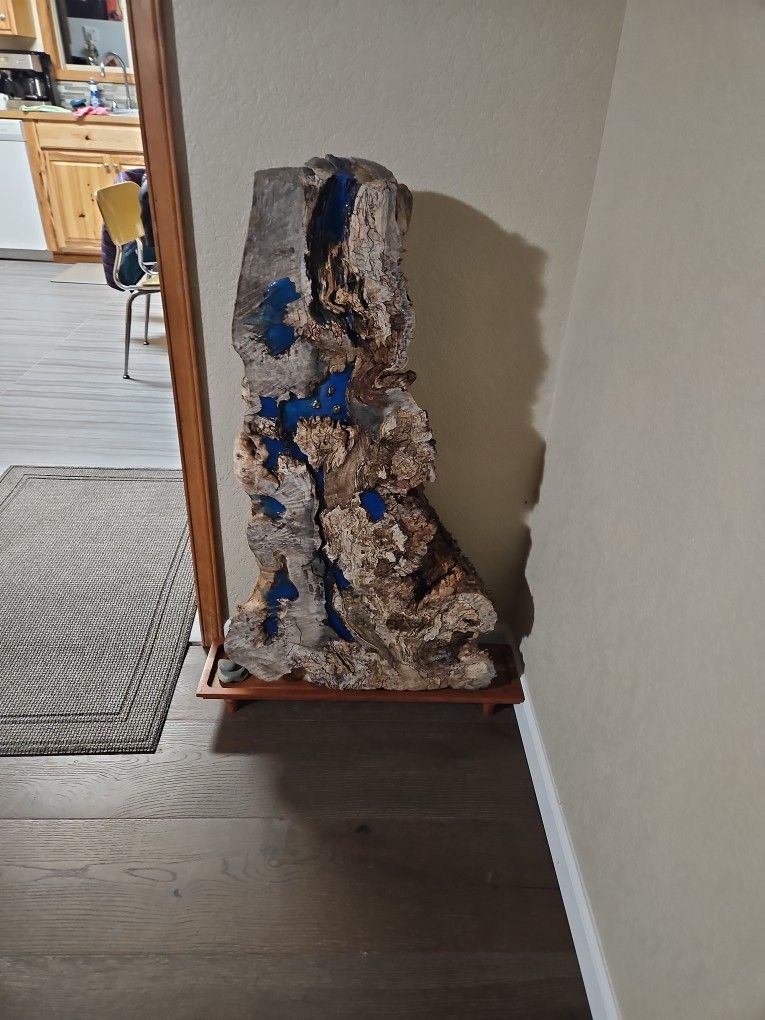 Petrified Wood