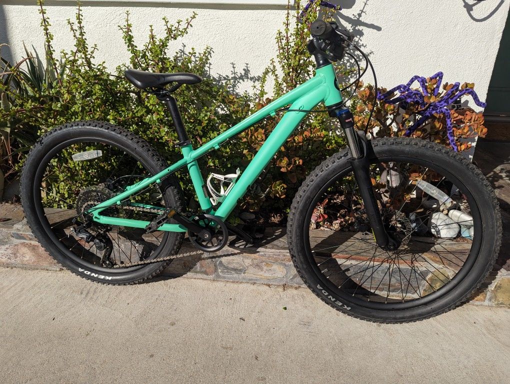Giant STP Mountain Bike Kids/Youth Suspension Fork
