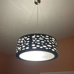 Large Light Fixture 