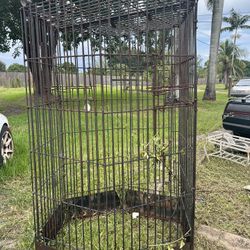 Bird Cage 