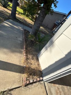 FREE Scallop red concrete stone border and pavers