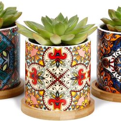 Greenaholics Succulent Pots - 3 Inch Ceramic Plant Pots with Bamboo Trays, Great House and Office Decor, Set of 3, Multi-Color