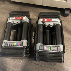 Powerblock Adjustable Dumbbells 