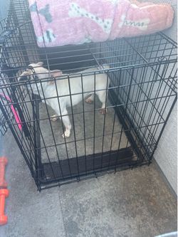 Kennel For Frenchie
