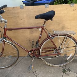 Schwinn Suburban 1970s  Bike 