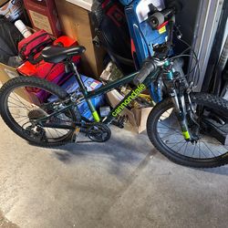 Cannondale Happy Trails Kids Mountain Bike