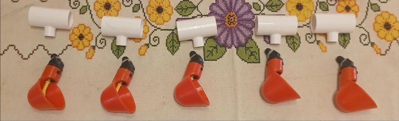 5 auto water feeder cups
