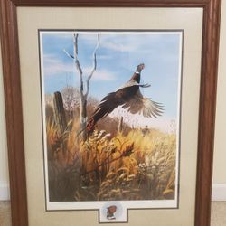 Beautiful Painting of Pheasant 
