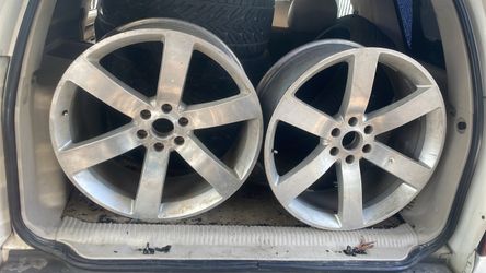 Rines 24 ss