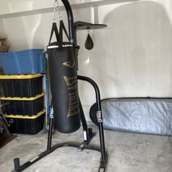 Everlast Powercore Dual Punching Bag and Speed Bag