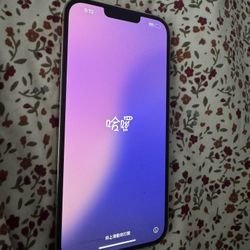 IPHONE 13 Pro Max 
