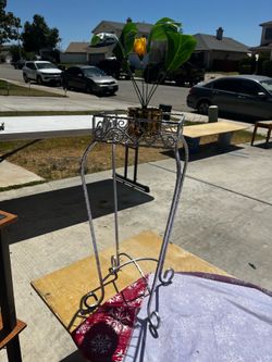 Plant holder