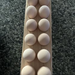 Hatching Eggs 