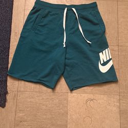 Aqua Nike Shorts