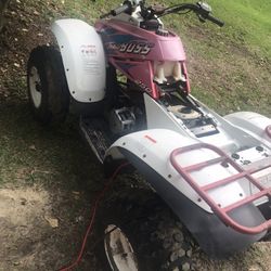 Polaris Trailboss 250
