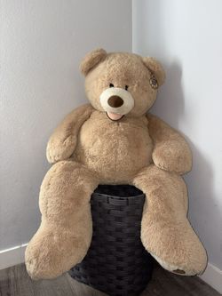 Teddy Bear 🧸