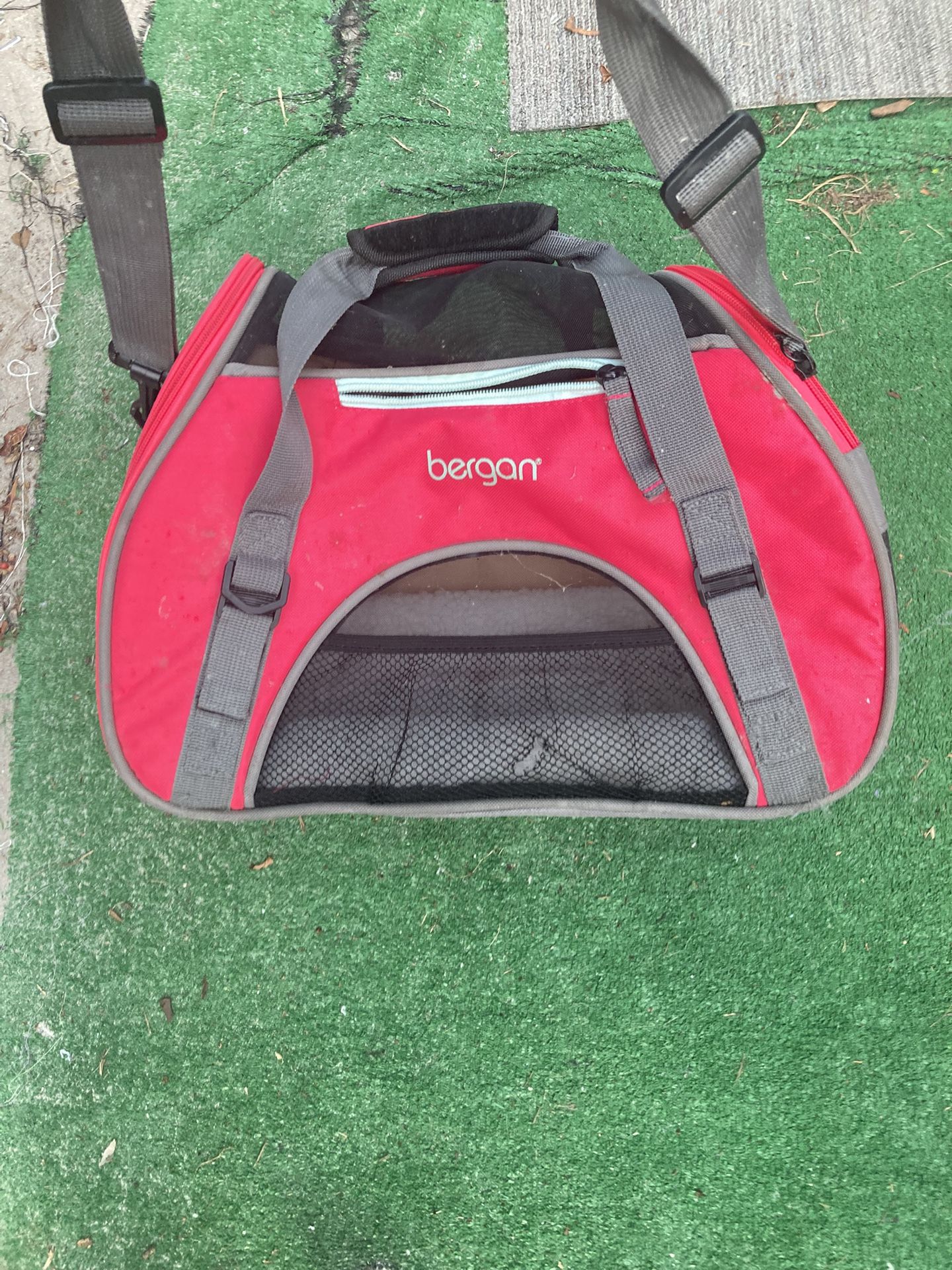 Snazzy Looking Canvas Carrier For Small Pet