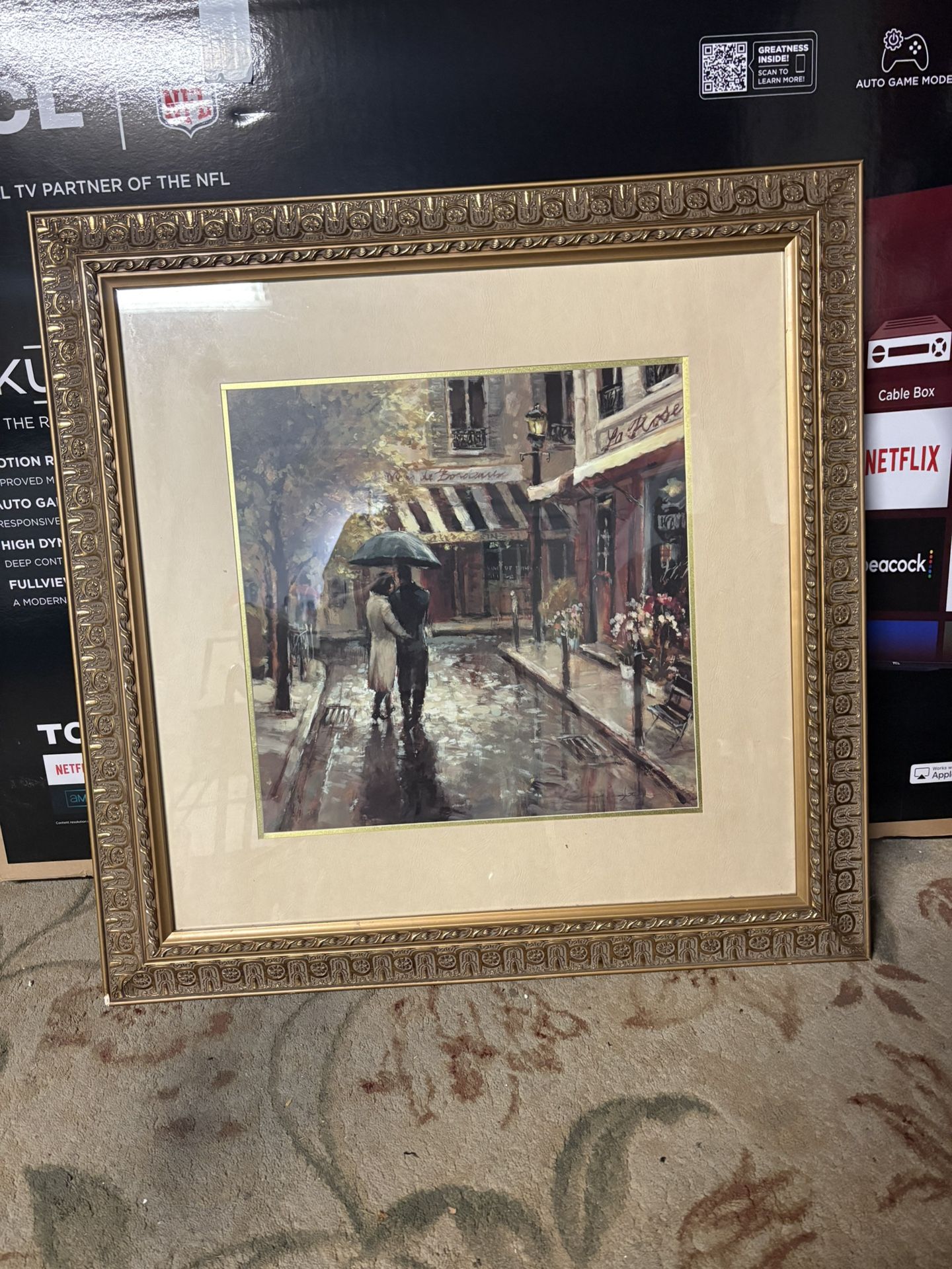 Beautiful Framed Art