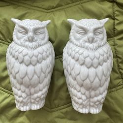 Japanese Porcelain Ceramic Owls Pair OWLS