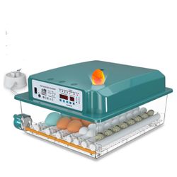 Egg Incubator, Egg Incubator with Automatic Egg Turning and Humidity Monitoring, Incubator for Chicken Eggs, 36 Eggs Incubator with Egg Candler, for D