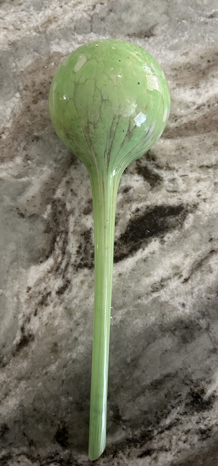 Plant Watering Glass