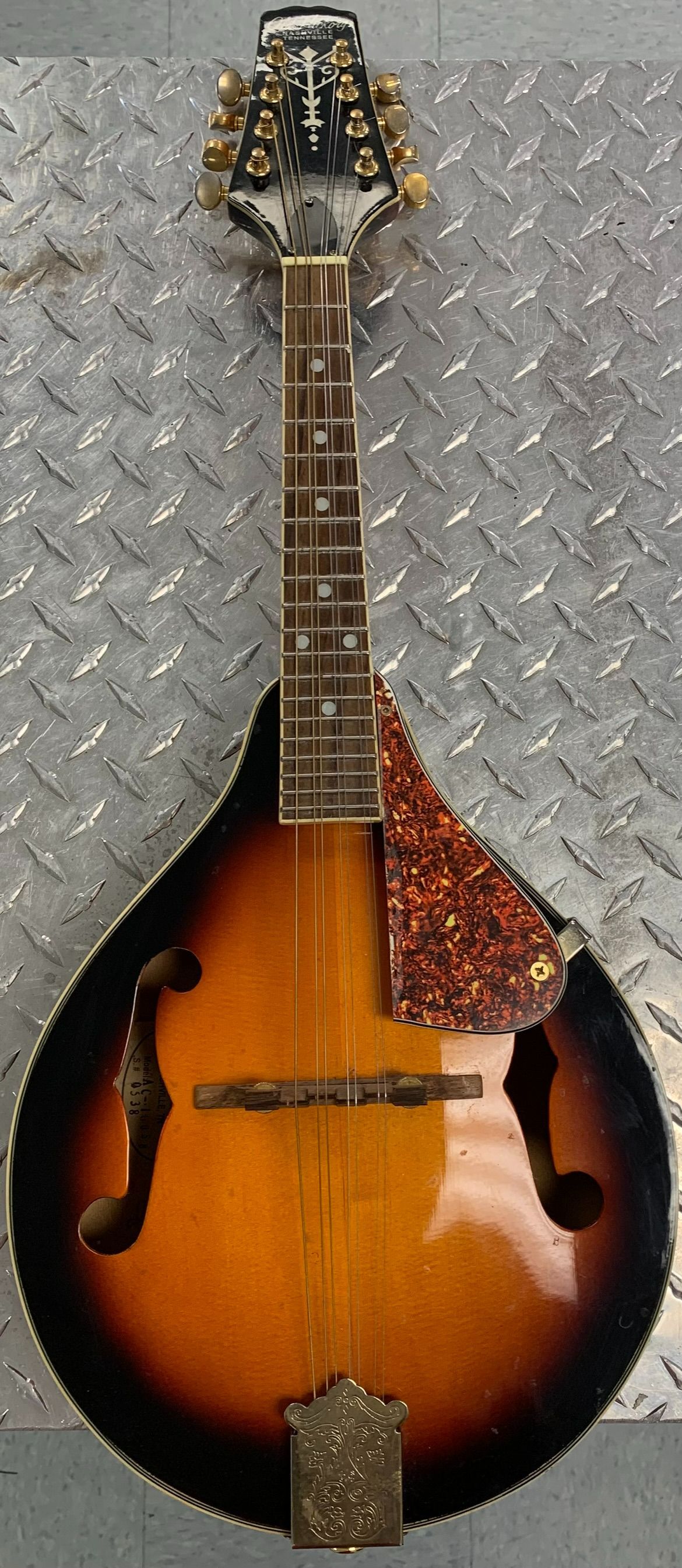 OLD HICKORY MANDOLIN #29310