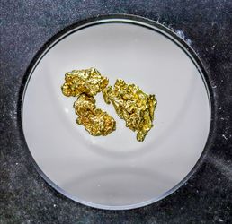 Alaska gold nuggets NGC certified