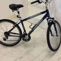 Specialized Cruise Bicycle