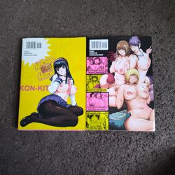 Adult Entertainment Manga Books