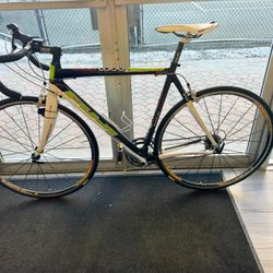 2009 Fuji Team Pro Bike