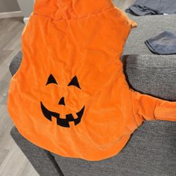 Puppy Halloween Costume 