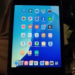 iPad Mini 5th Gen 64 Gig