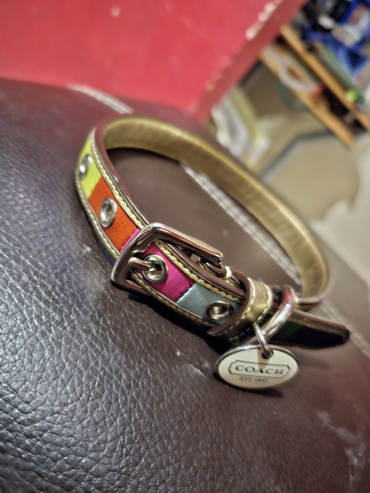 Coach Dog Collar