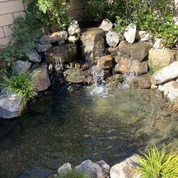 Pond & Fountain Maintenance 