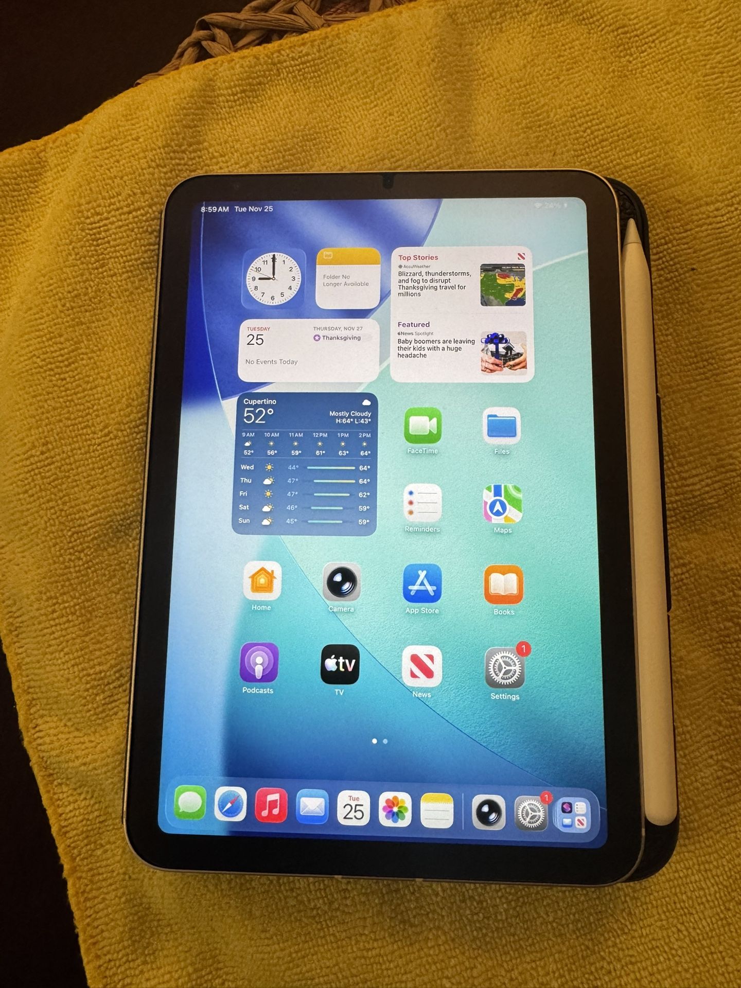 iPad Mini 6 Generation Starlight 256 Gb WiFi + Cellular Fully Unlocked For All Carriers 