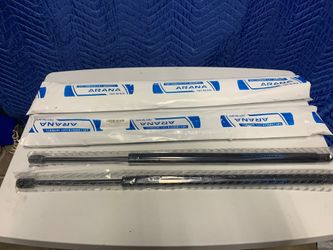 Lift gate struts