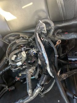 Wiring Harness
