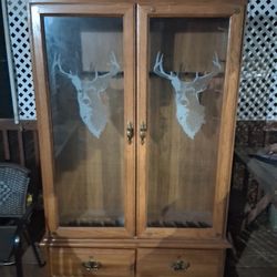Gun Cabinet 
