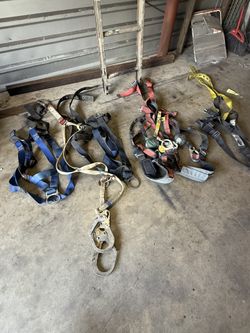 Harness
