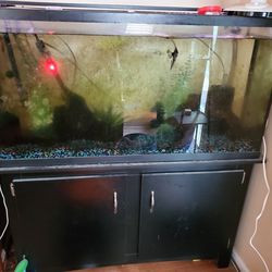 75 And 60 Gallon Aquarium Fish Tank For Sale