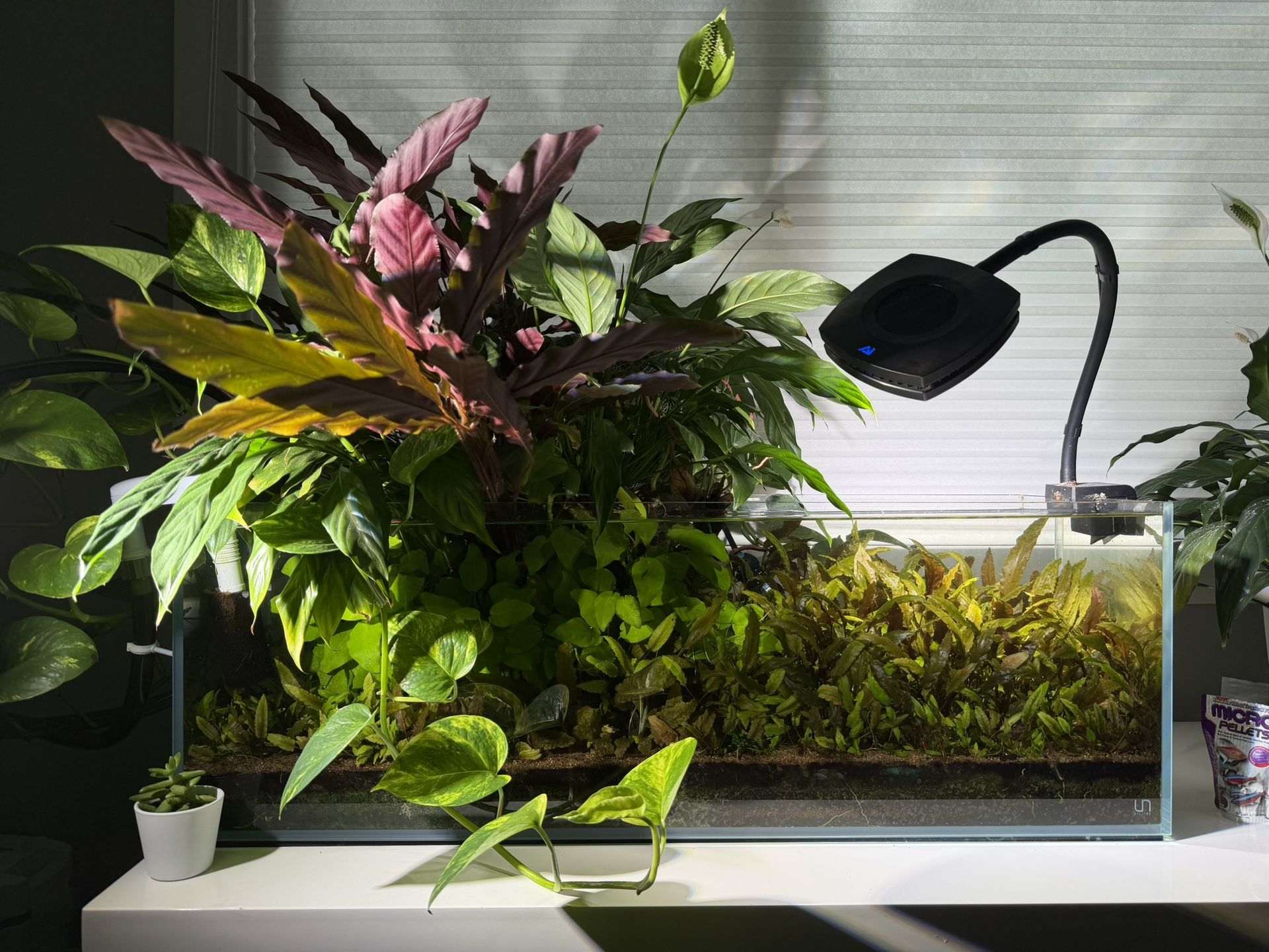 Planted Aquarium inc. all equipment