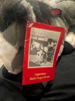 Wells Fargo Plush Pony 2006