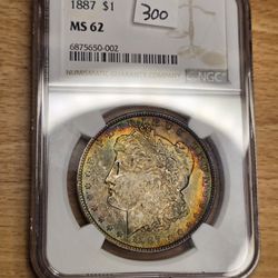 Toned Morgan Dollar 