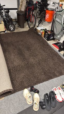 Thomasville 8x10  Shag Area Rug