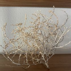 Tumbleweed For Decor (3of 7)
