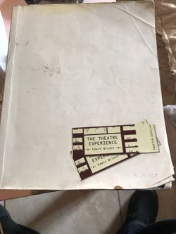 The Theatre Experience