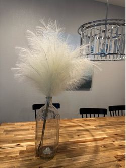 Vase + Feathers