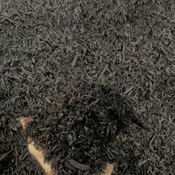Black Mini Mulch (colored)