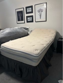 Sleep Number Extra Long Twin