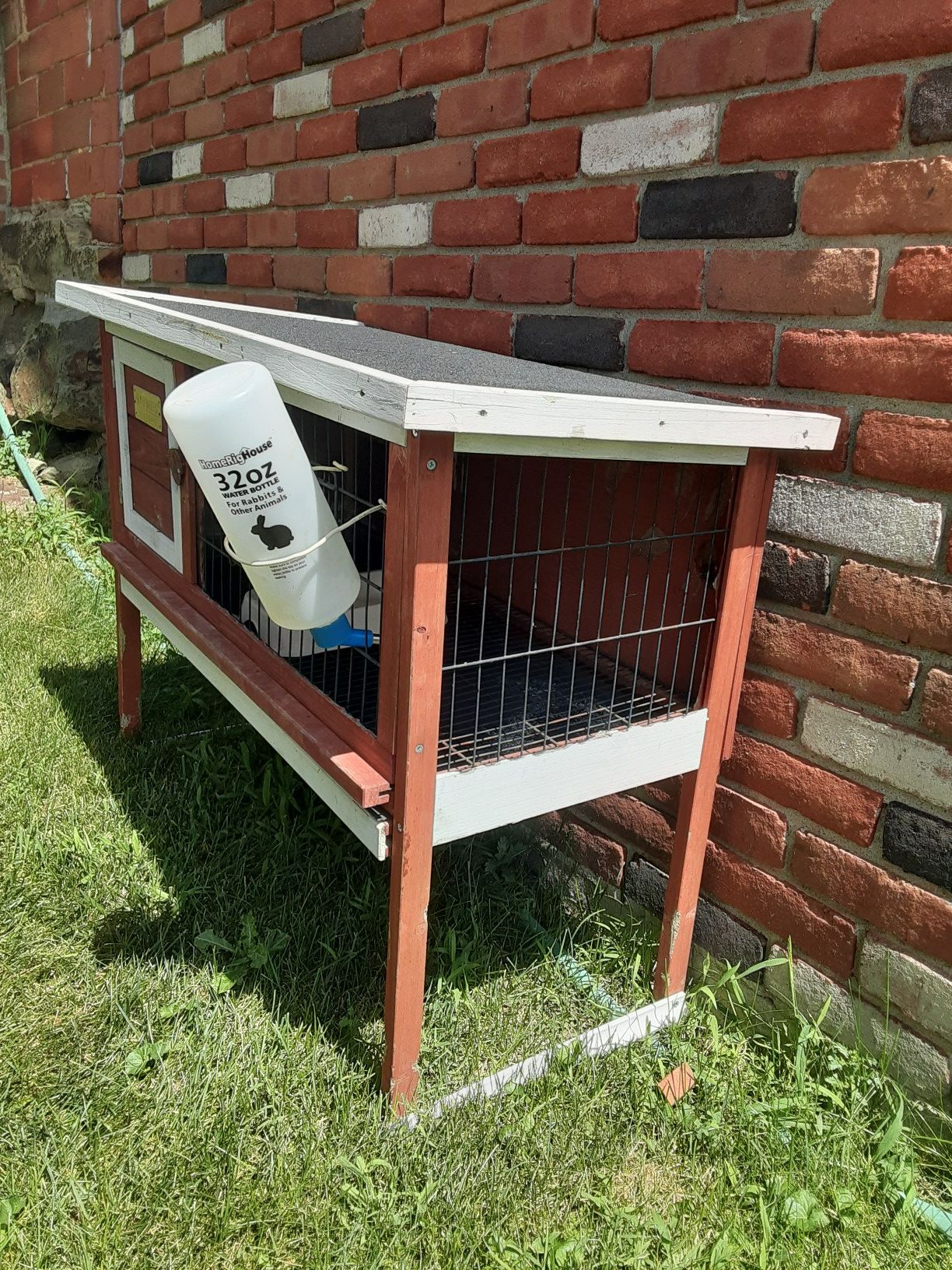 Small animal cage